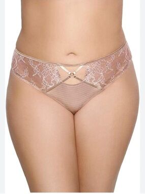 🩷NWT (4) ASHLEY GRAHAM PRETTY NUDE THONG~SIZE 1X